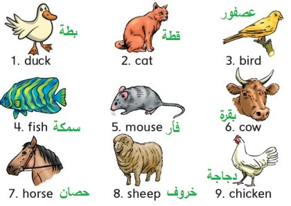 استمع وأشر